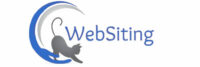 לוגו אתר WEBSITING
